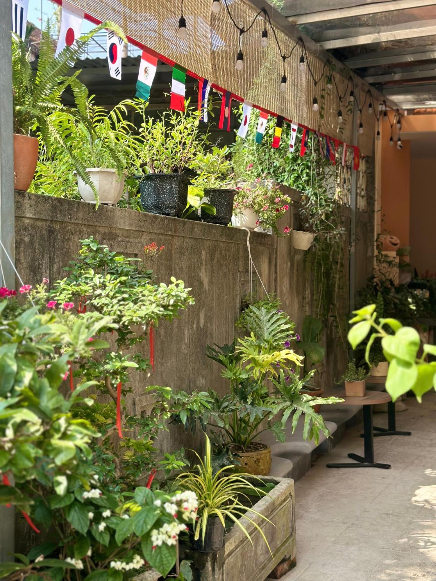 Chi'S Homestay & Coffee Hue Exterior foto